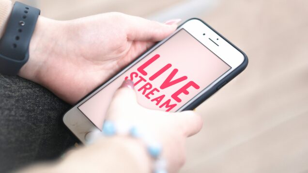 YourWay.Store Live Streaming SEO Interface